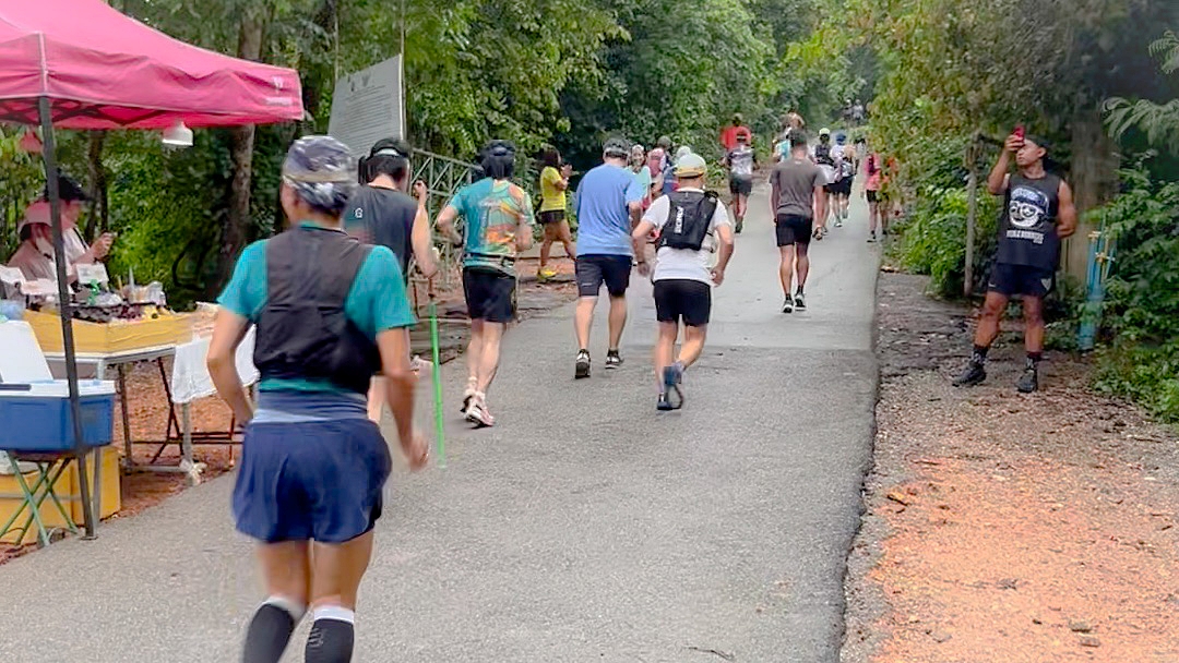 Runners on an uphill course moments after the start of the competition.